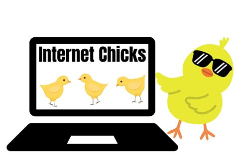 intetnet chicks|Internet Chicks: The Phenomenon of Modern